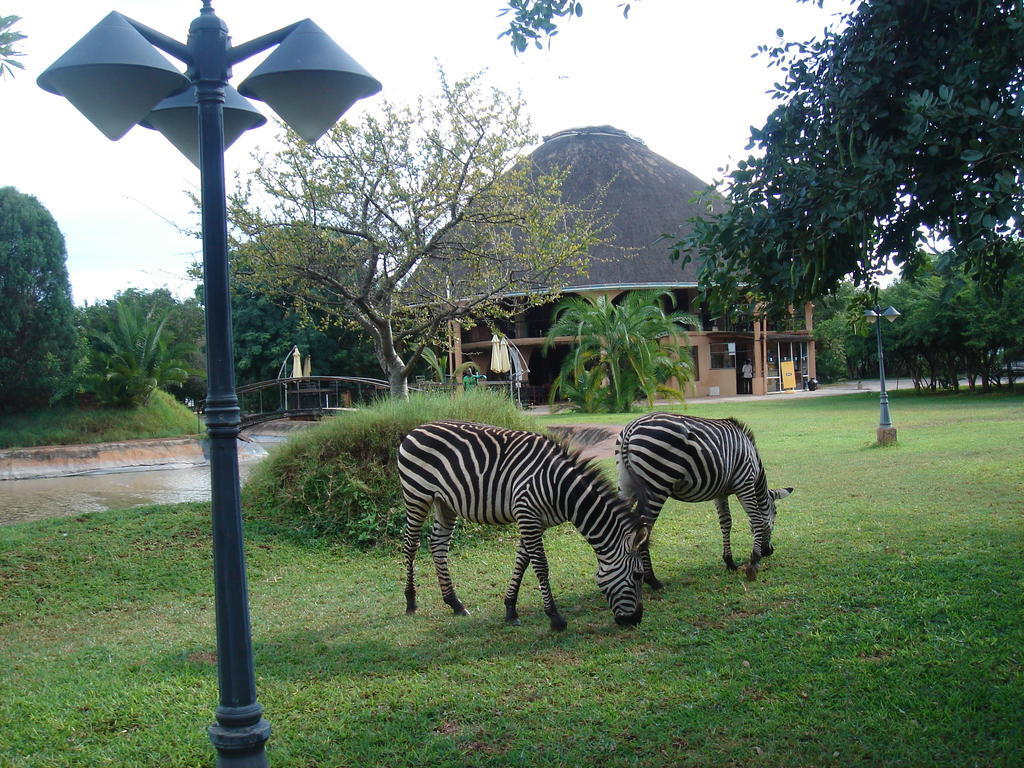 Kaazmein Lodge Livingstone Exteriör bild
